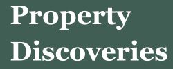 propertydiscoveries.com